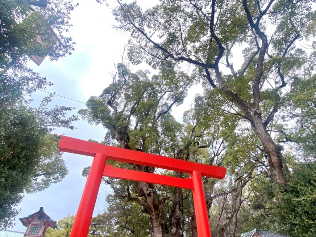 2024.1.6長田神社鳥居