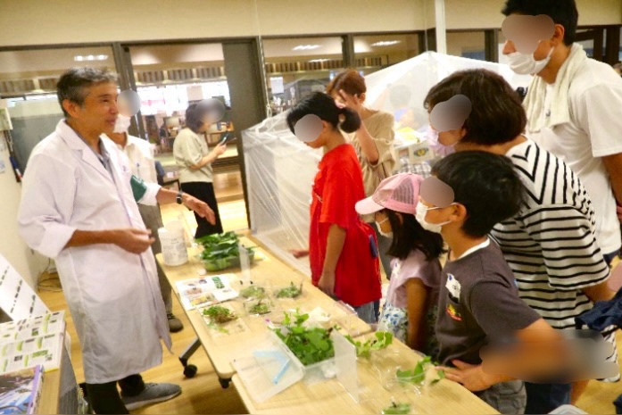 2024.8まるごとチョウや幼虫とのふれあい体験5-1