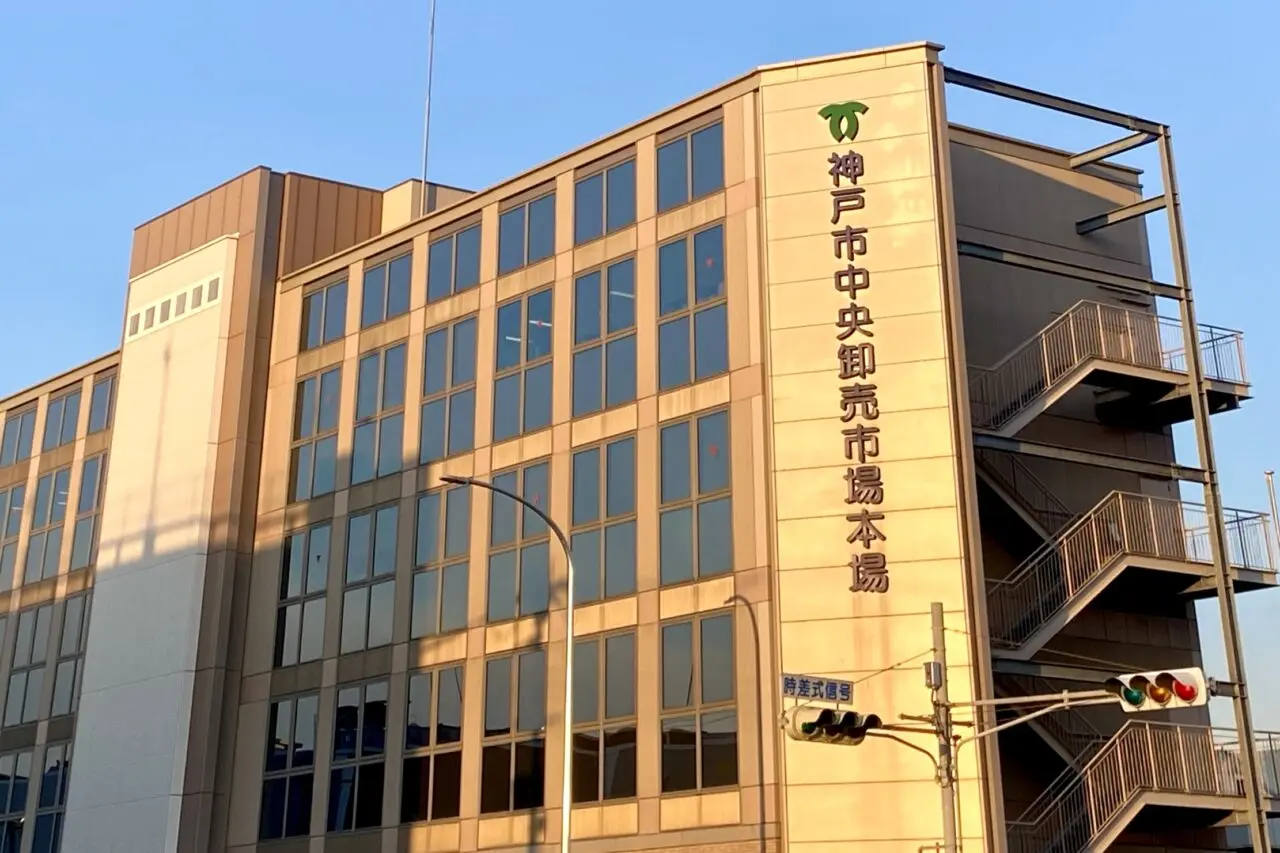 2025.5魚河岸デー2