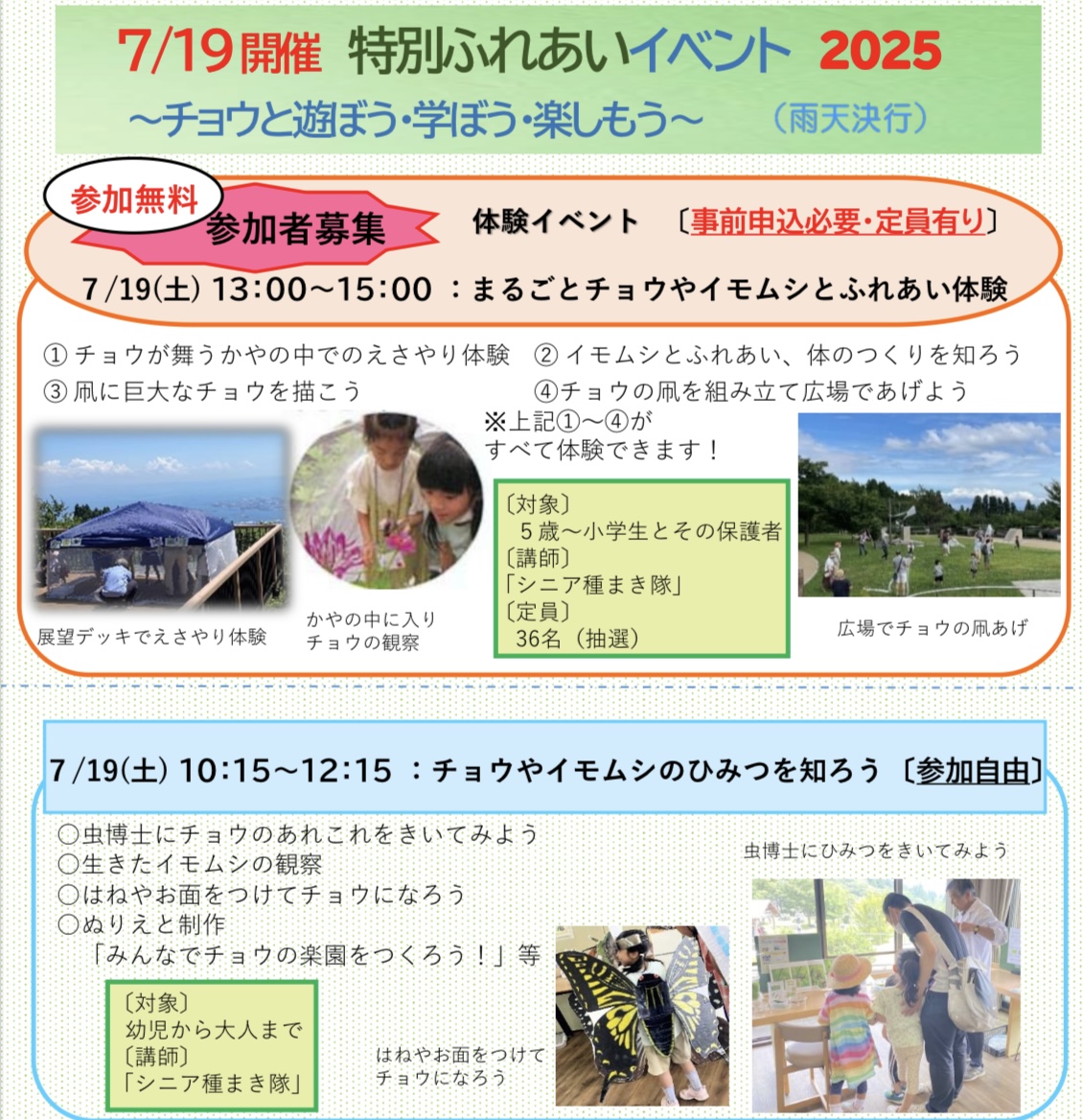 2025.6チョウのあれこれ2