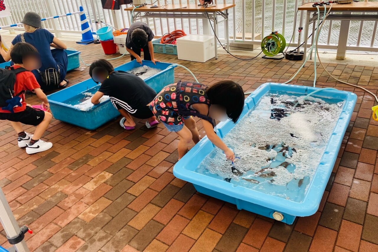 2025.9魚協祭3