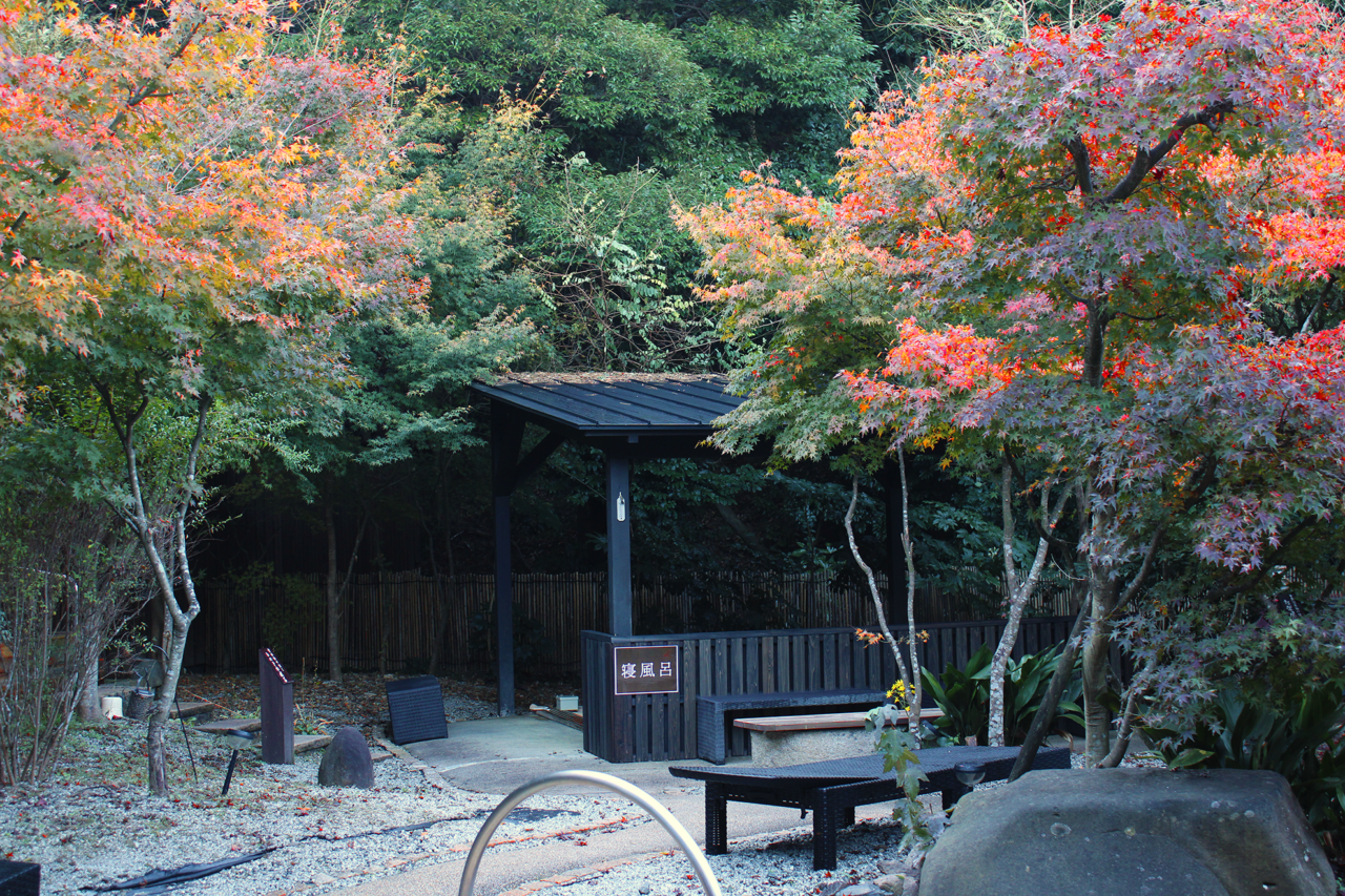 2025.11すずらんの湯紅葉5