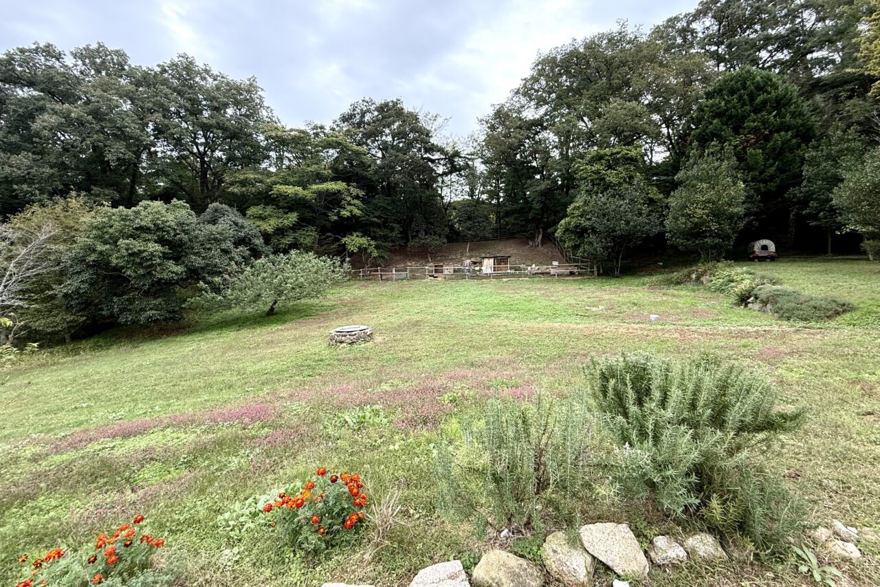 2025.11弓削牧場2