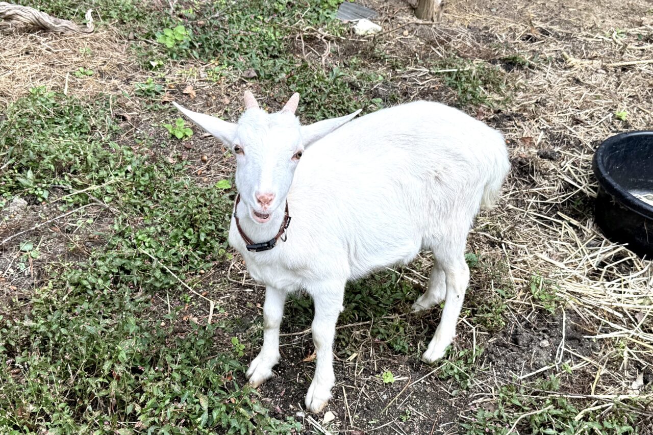 2025.11弓削牧場9