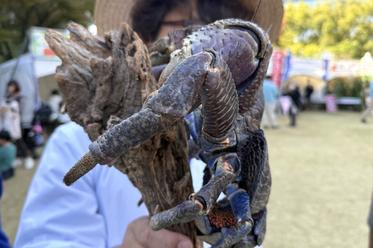 2025.11神戸グルメディスカバリー当日12