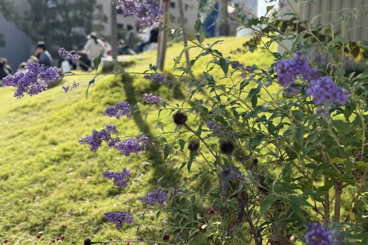2025.11神戸グルメディスカバリー当日7