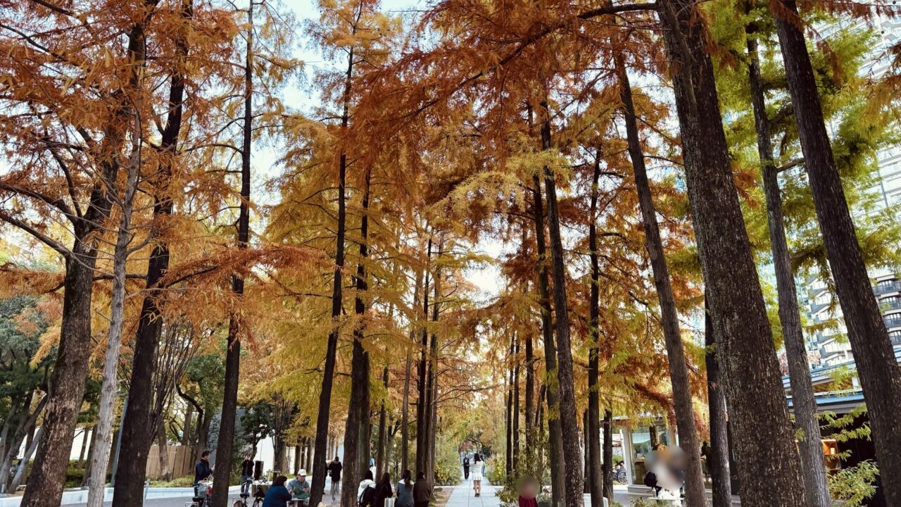 2025.11東遊園地紅葉7