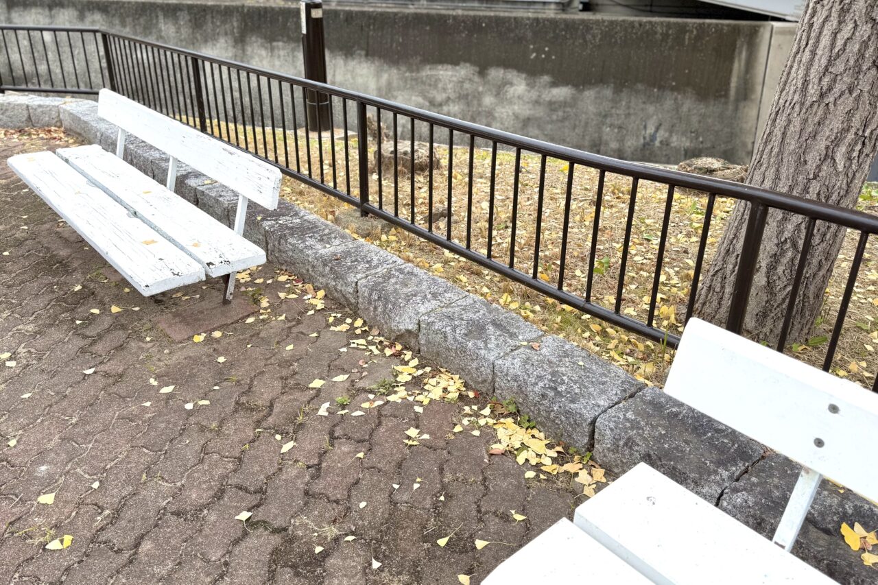 2025.11長田区イチョウ1