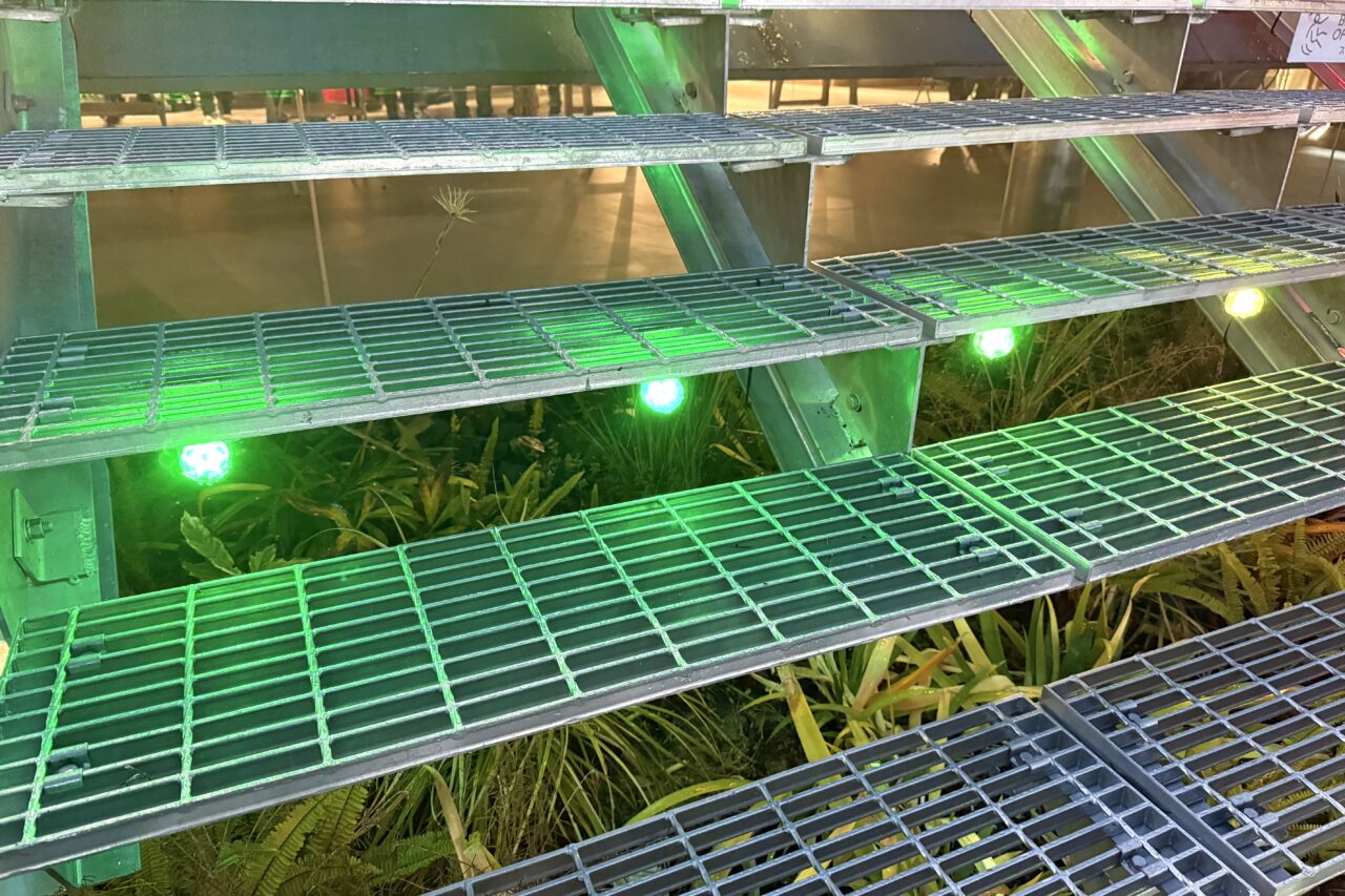 2025.12TOTTEIクリスマスマーケット3