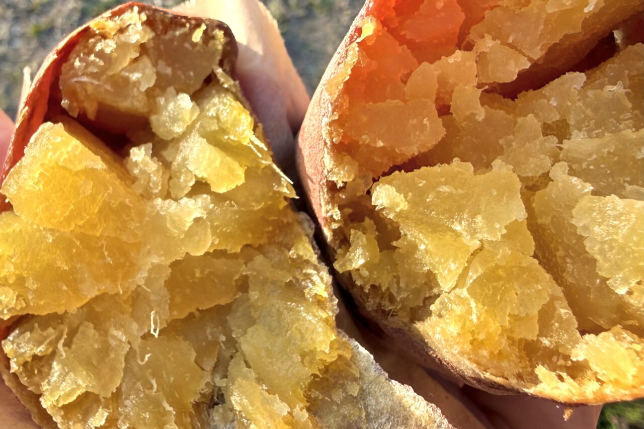 2026.2いもけん10