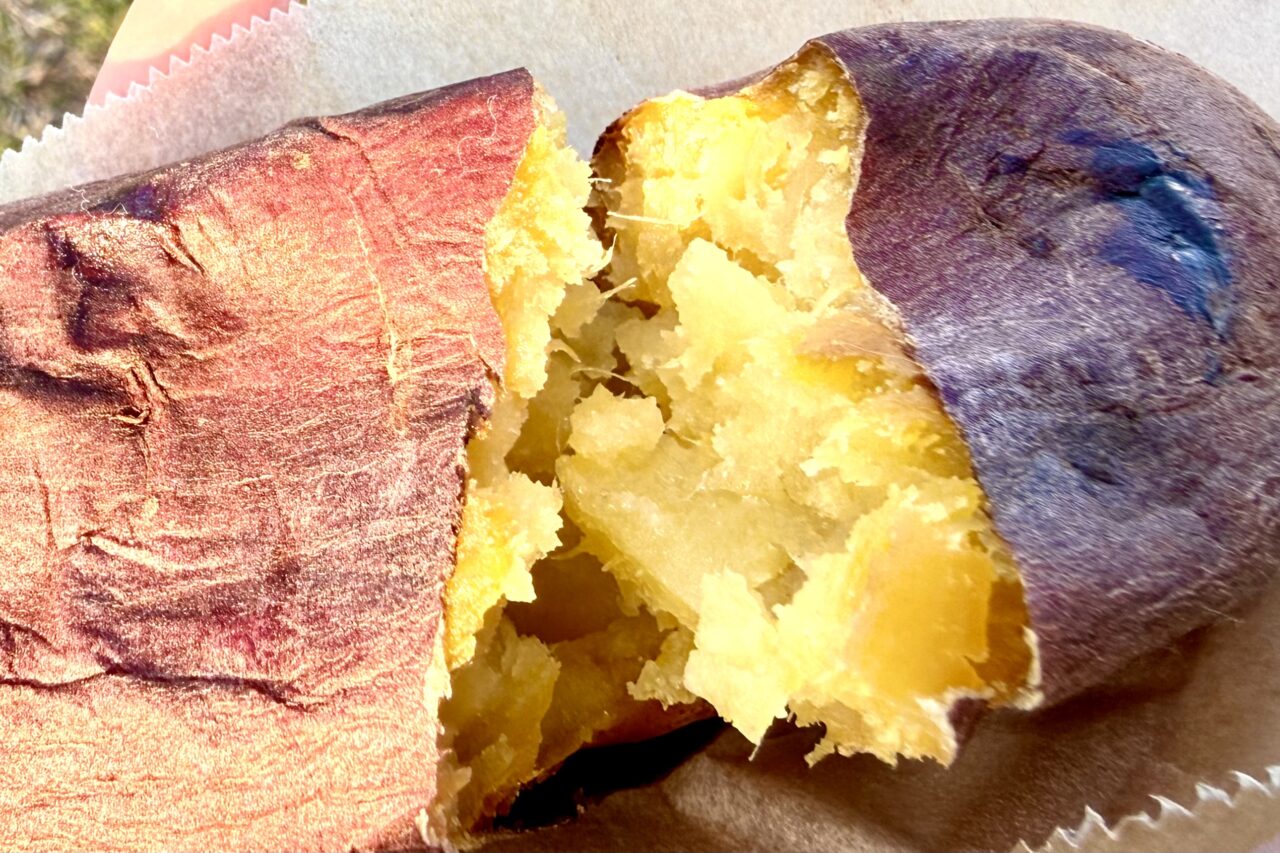 2026.2いもけん11