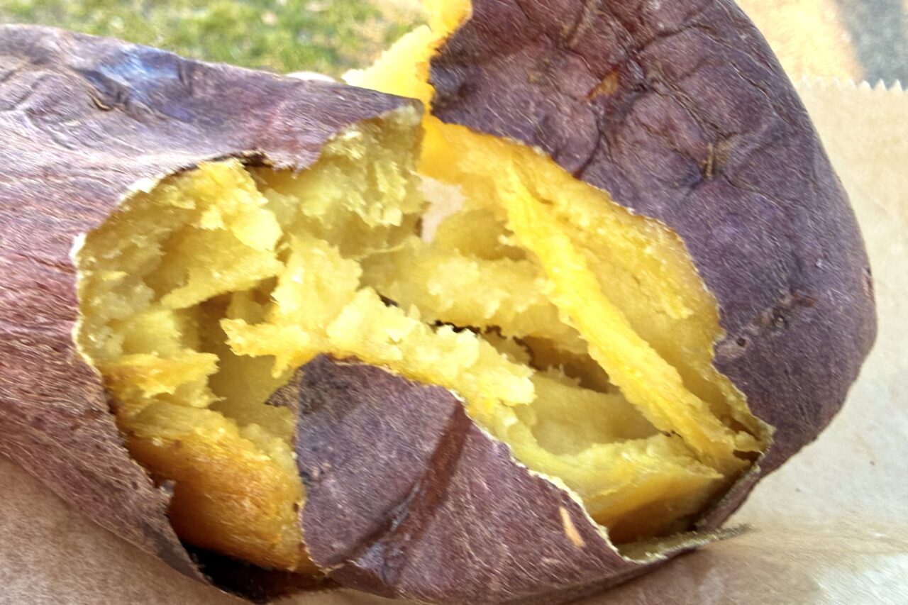 2026.2いもけん10