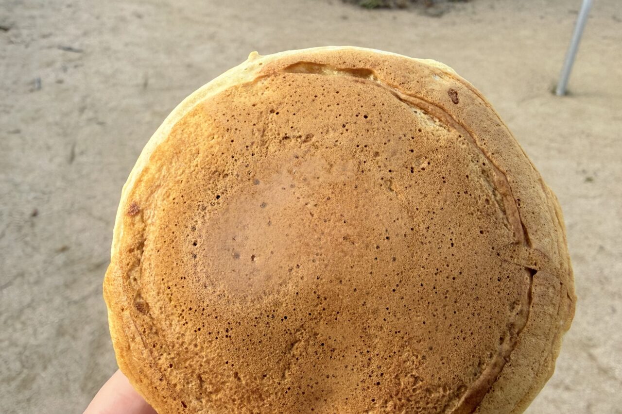 2026.2人工衛星饅頭6