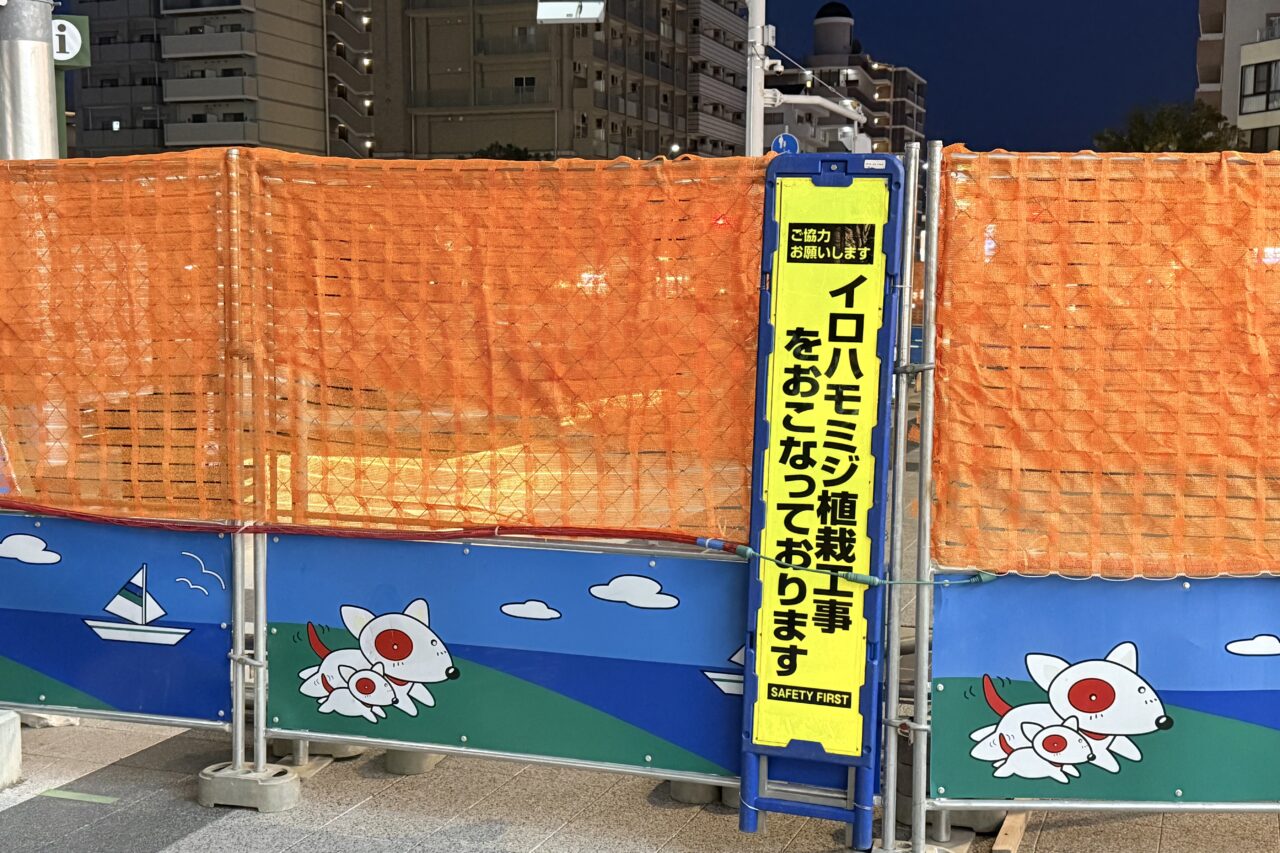 2026.3イロハモミジ長田3