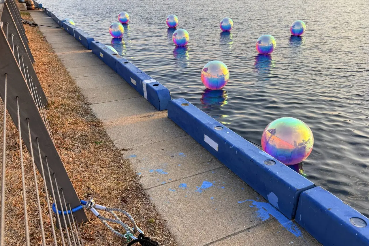 2024.4トッテイイベント第一弾3