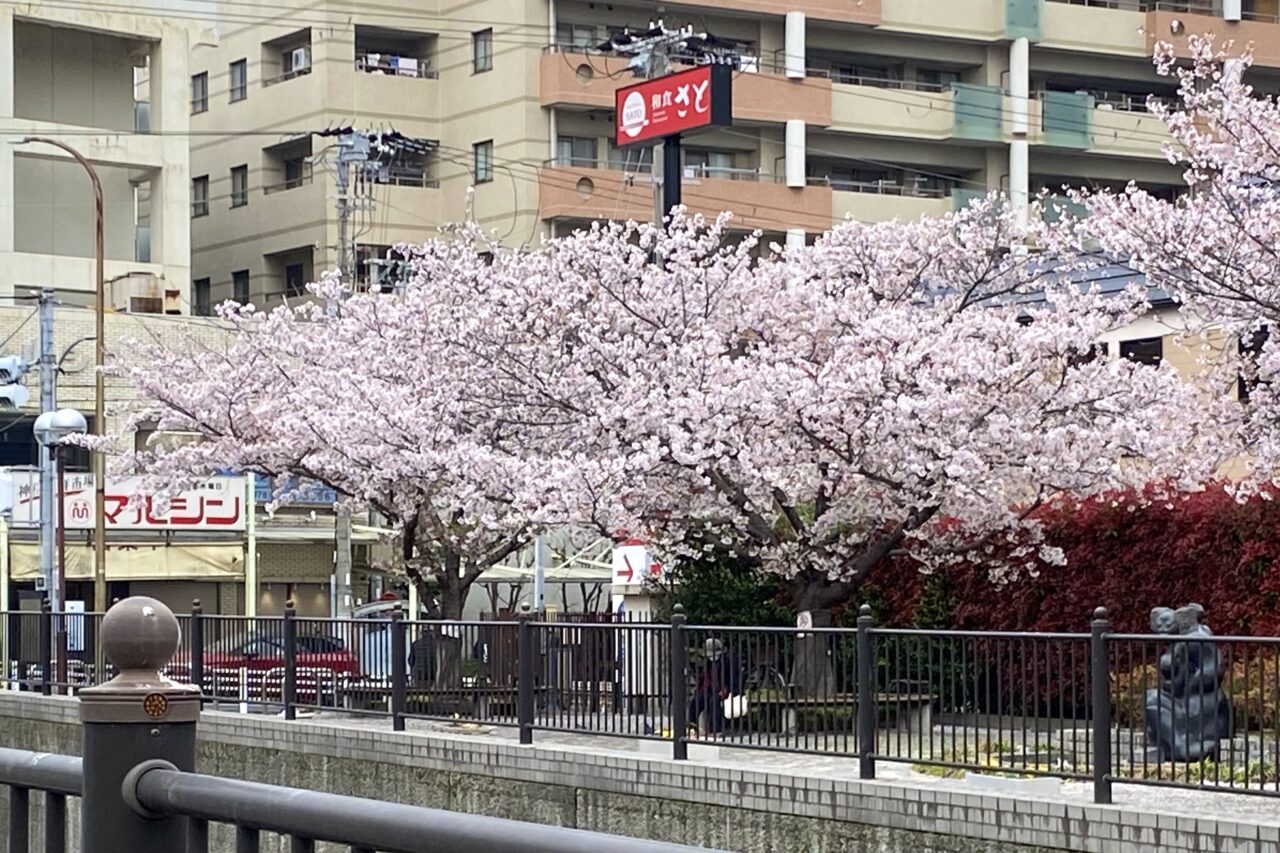 2026.4マルシンマルシェ5