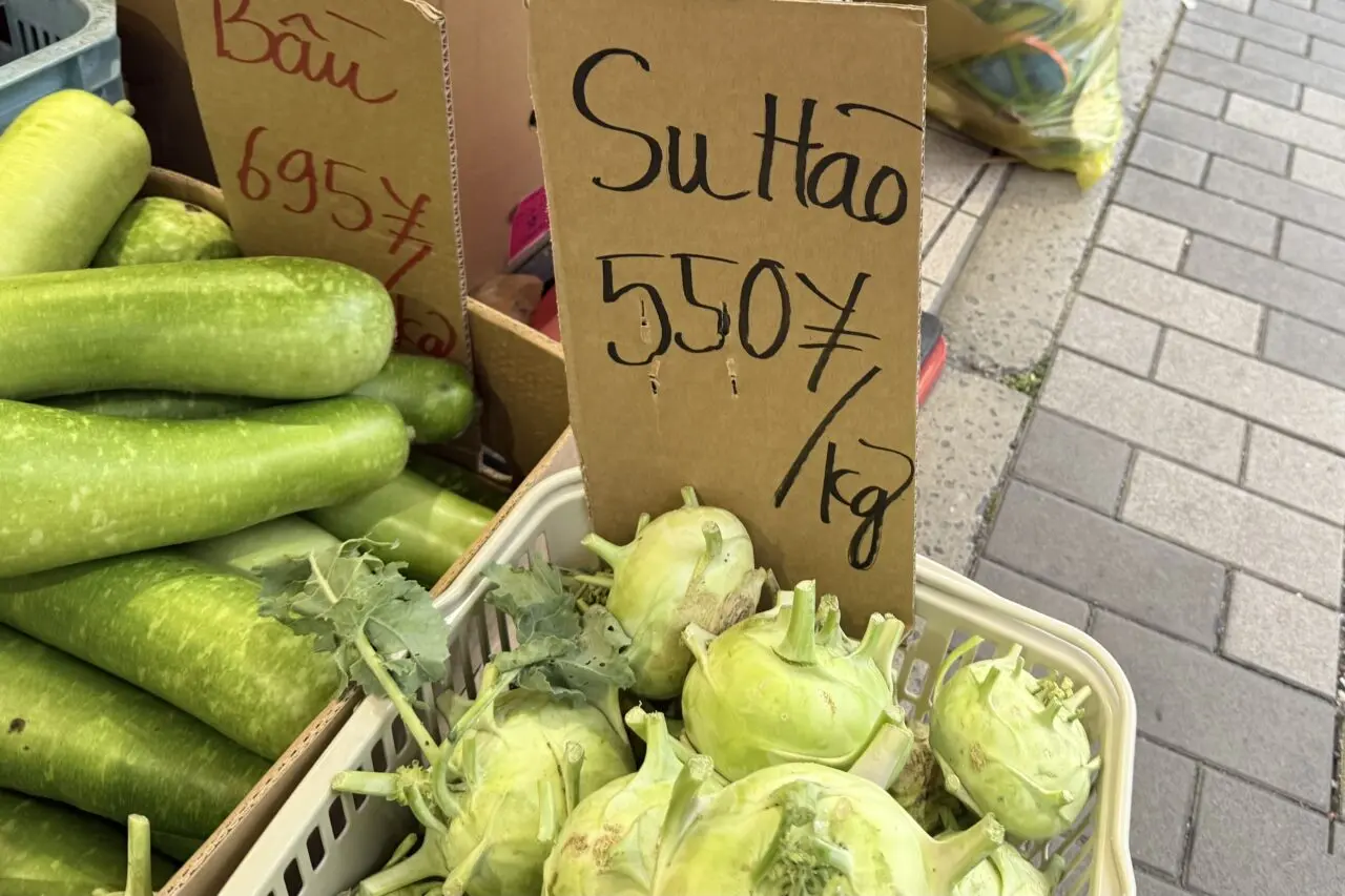 2026.4プレノ長田ベトナム2