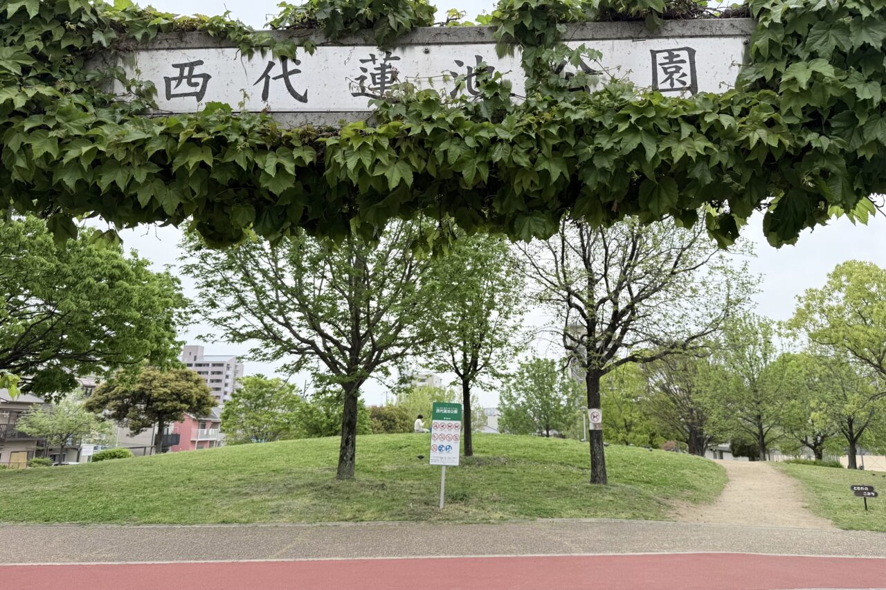 2026.4西代蓮池公園春1