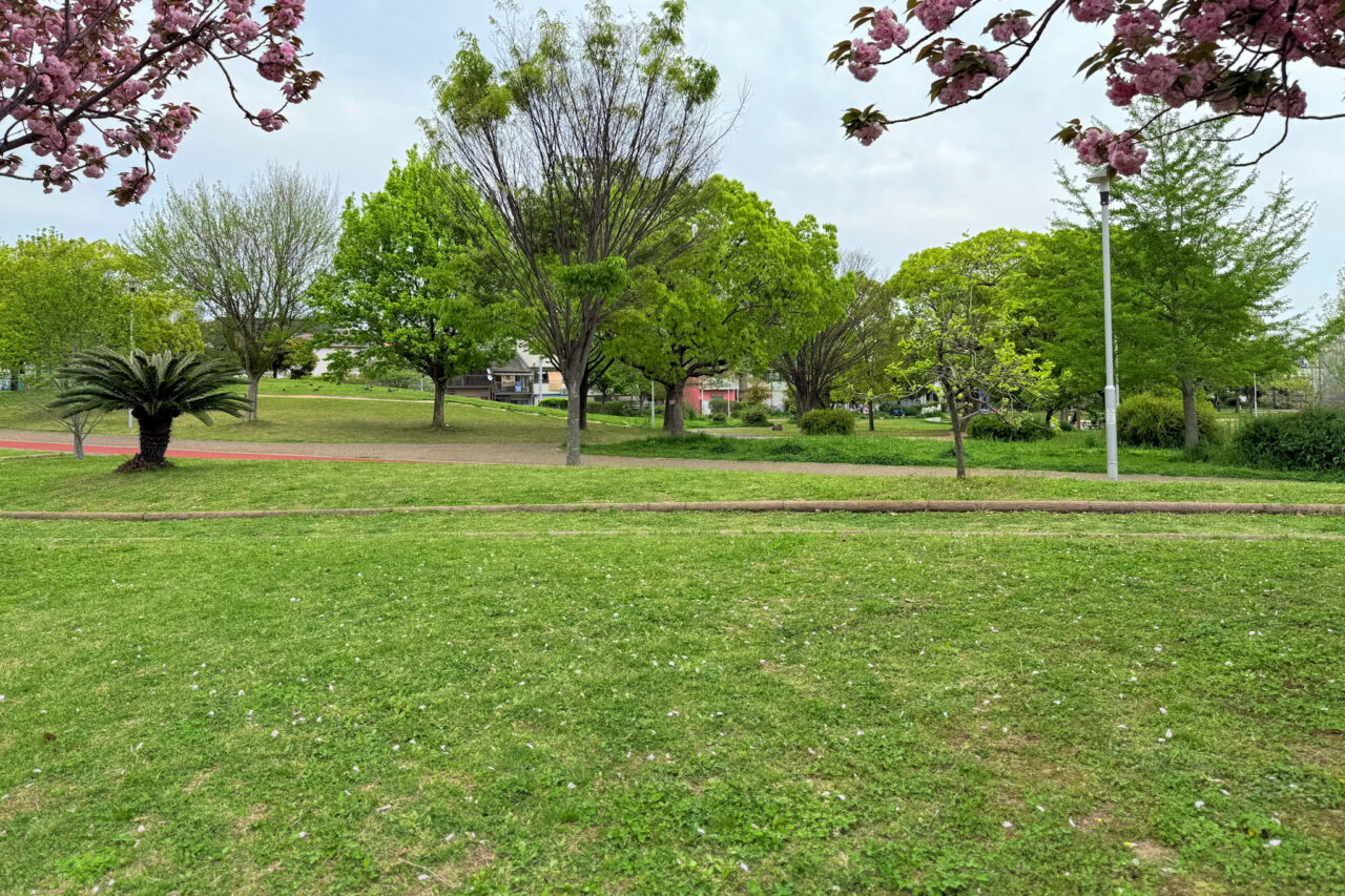 2026.4西代蓮池公園春4