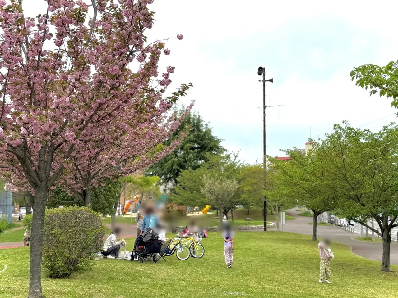 2026.4西代蓮池公園春5-1