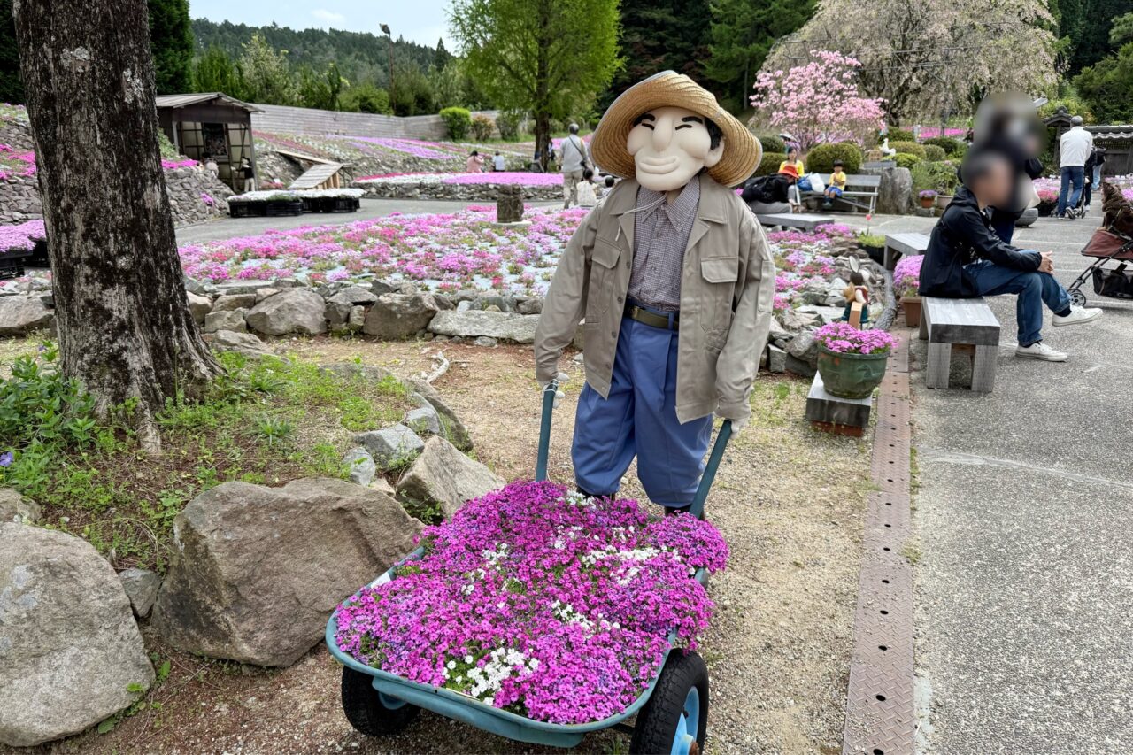 2026.4花のじゅうたん4