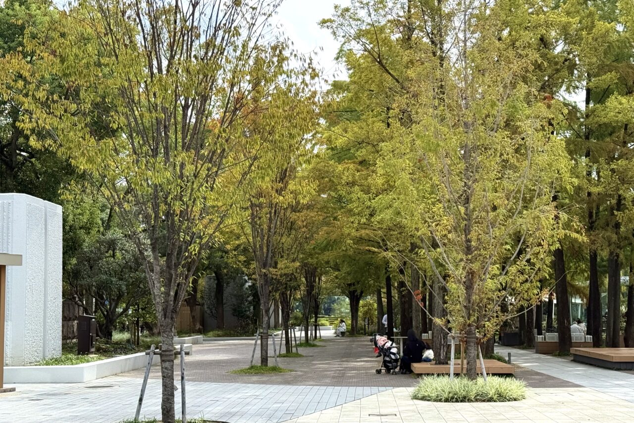2026.7お気に入りの木陰3