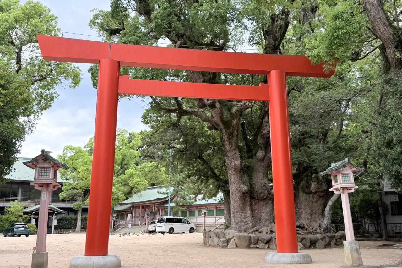 ご縁フェス2026-7