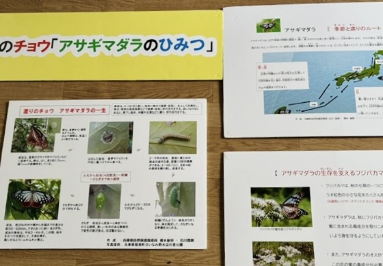 2026.10高取山チョウイベント2